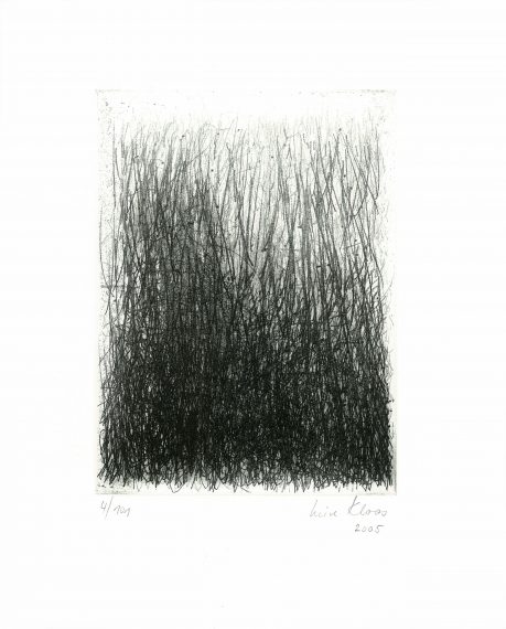 2004, Luise Kloos